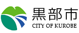 H logo
